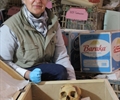 Professor Susanne Bickel and KV64 mummy